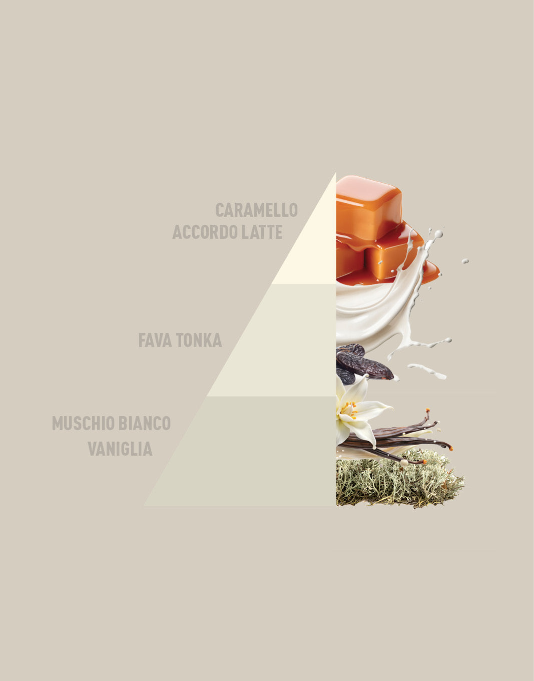 Profuma bucato - Bianco latte - Horomia